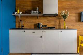 Гостиница Greenfeel Pskov Псков 1-комнатные апартаменты студия-7